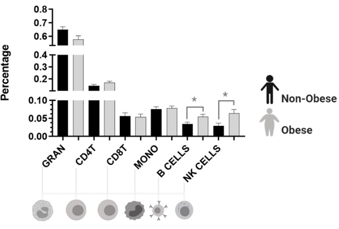 Cell percentage bar chart comparing immune cells in non-obese vs. obese individuals.