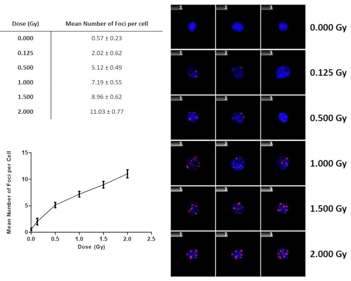 figure-results-9