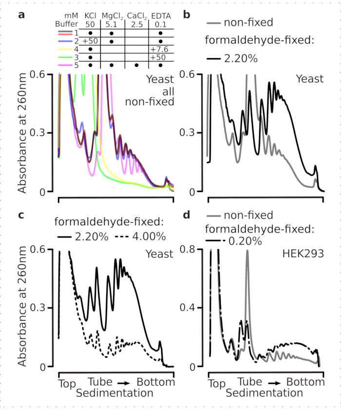 figure-results-1 Yeast and HEK293 absorbance graphs; buffer conditions, fixation impact; sedimentation analysis.