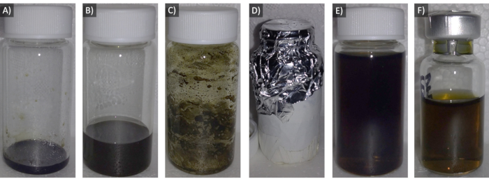 figure-results-1 Chemical reaction progression in labeled containers A-F; dark liquid and foil-covered sample visible.