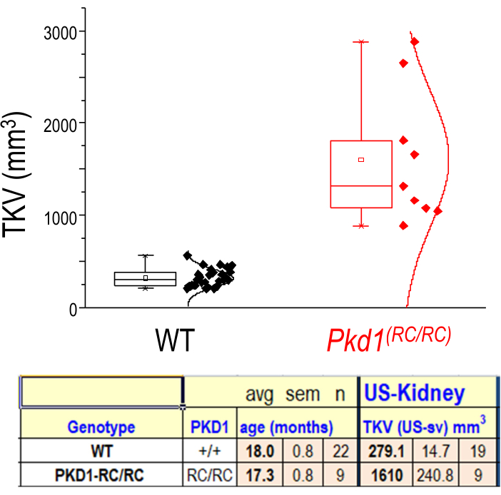 figure-results-4 figure-results-4
