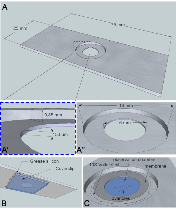 figure-introduction-3 Microfluidic chamber diagram; dimensions, assembly details, and silicon grease usage for biological observation.