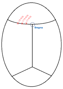 figure-protocol-1 figure-protocol-1