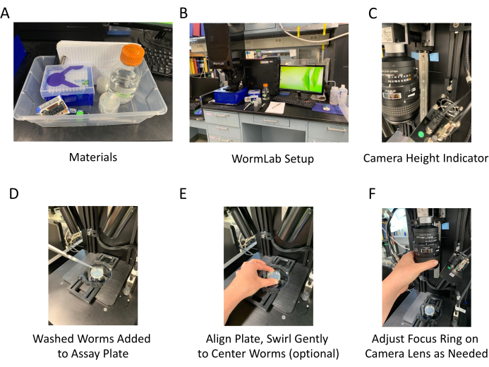 figure-results-3 WormLab setup and process: materials, assay preparation, camera adjustments, microscope alignment.