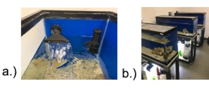 Aquarium filtration system; pump and filter setup; aquatic research environment; water flow dynamics.