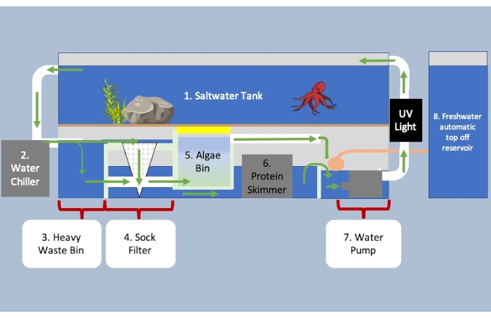 Saltwater system diagram showing filtration, algae bin, protein skimmer, water chiller, and pump.