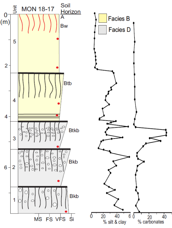 Soil horizon diagram with sediment facies chart for mineral composition analysis.