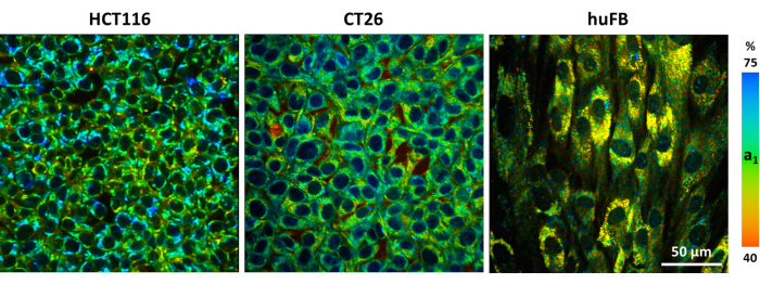 Video: Probing Metabolism and Viscosity of Cancer Cells using ...