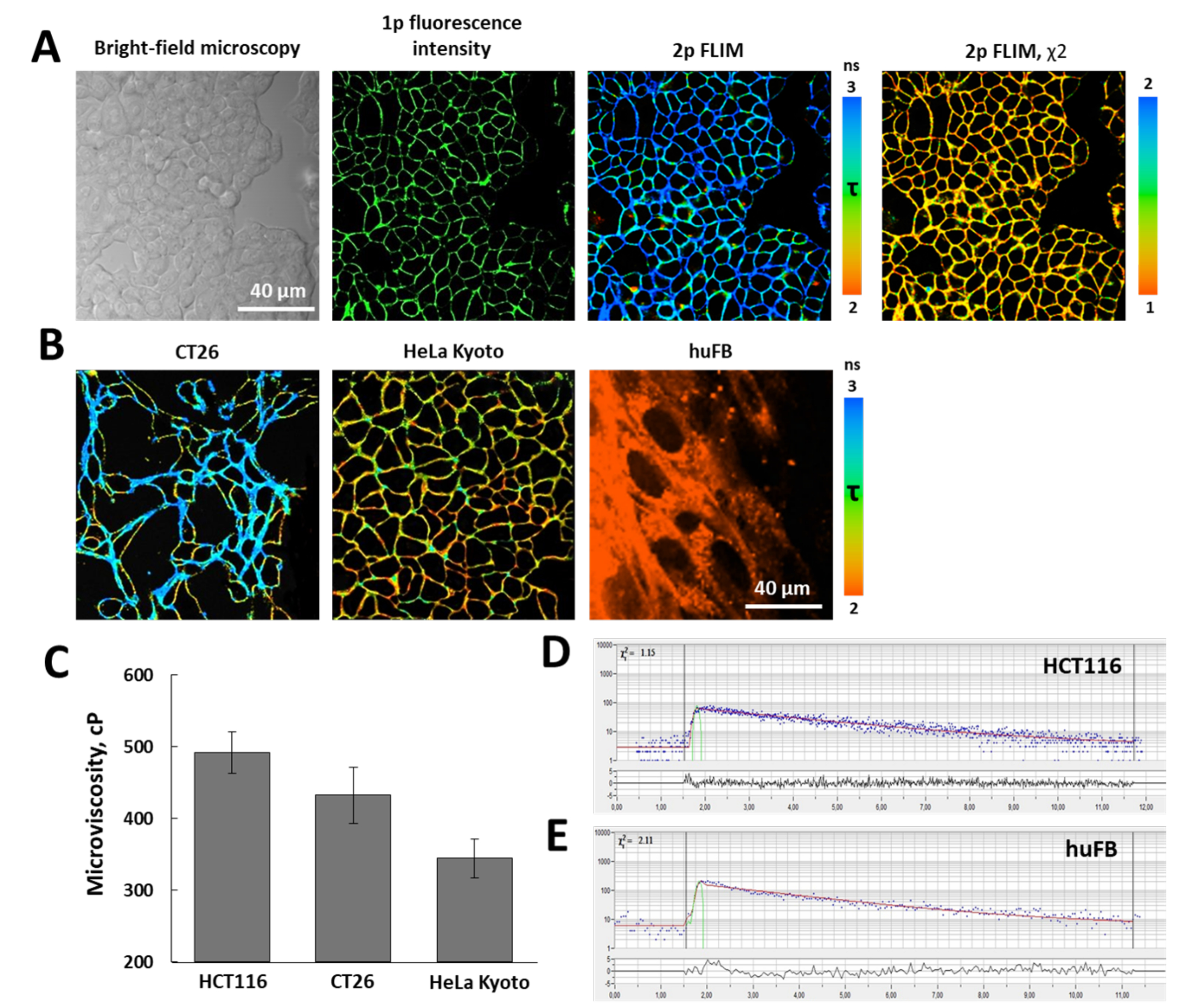 Probing Metabolism and Viscosity of Cancer Cells using Fluorescence ...