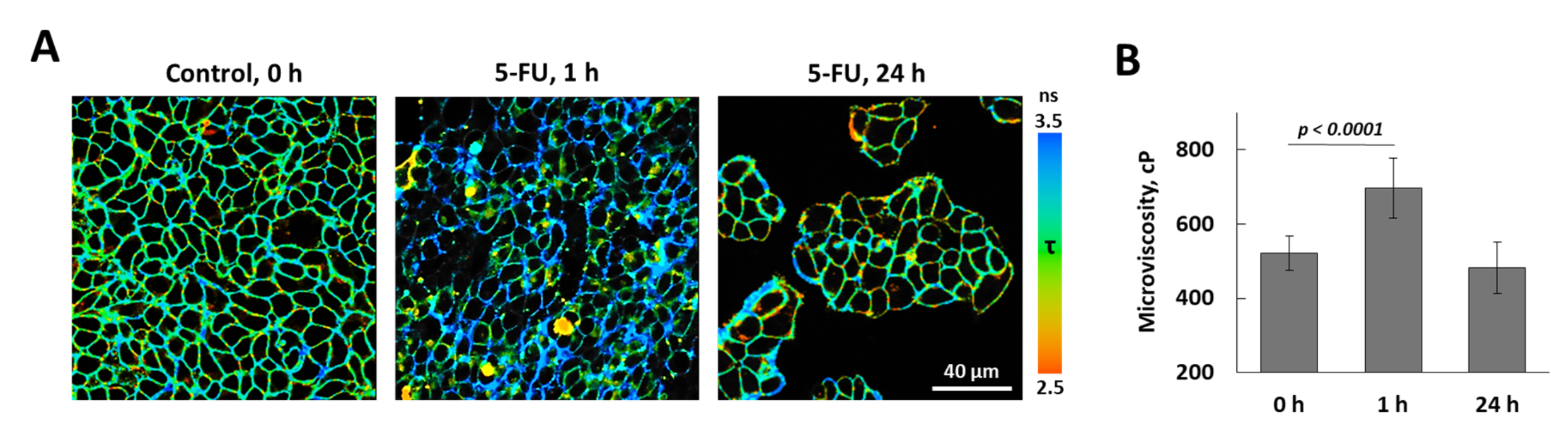 Video: Probing Metabolism and Viscosity of Cancer Cells using ...