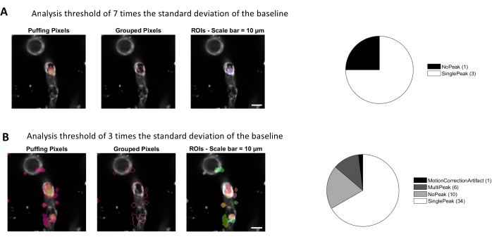Puffing pixels analysis diagrams with pie charts; thresholds at 7x and 3x baseline; scale bar 10 µm.