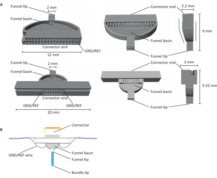 Funnel connector design diagram with measurements, illustrating connector end and funnel components.