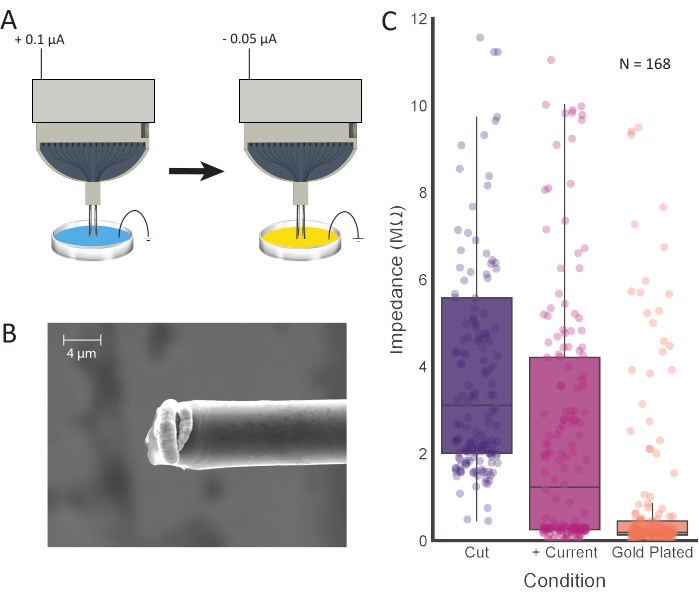 Electrochemical setup, micrograph, impedance box plot; current density impact on impedance measurement.
