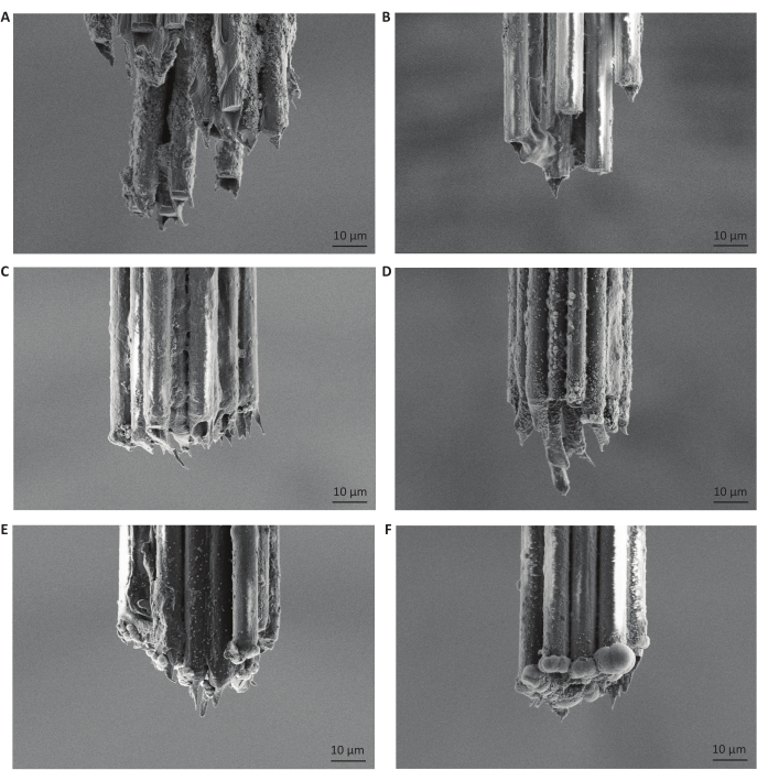 SEM images of microstructures. Nanostructure variation analysis in material science study.