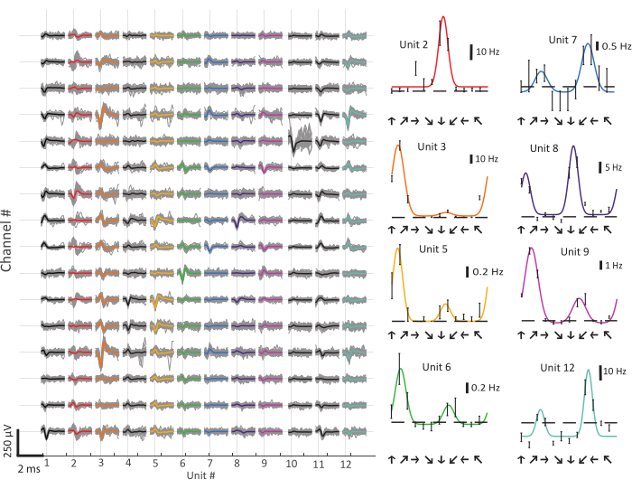 Neural spikes raster with frequency analysis, showing unit responses on channels in scientific study.