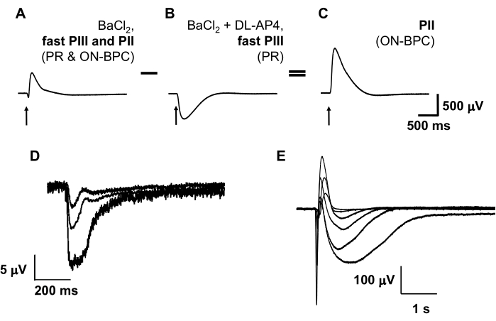 Electrophysiology graph showing responses to compounds; data analysis of BaCl₂, PIII, and PII impact.
