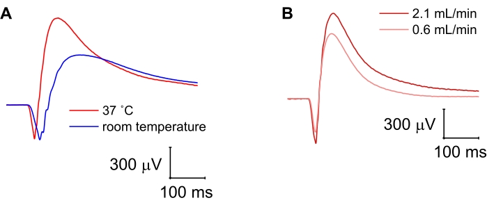 Electrophysiological graph comparing temperature and flow rate impact on signal amplitude, μV/ms.