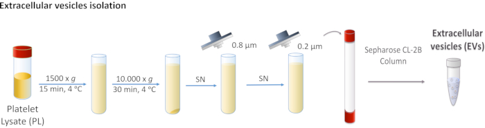 figure-protocol-1 figure-protocol-1