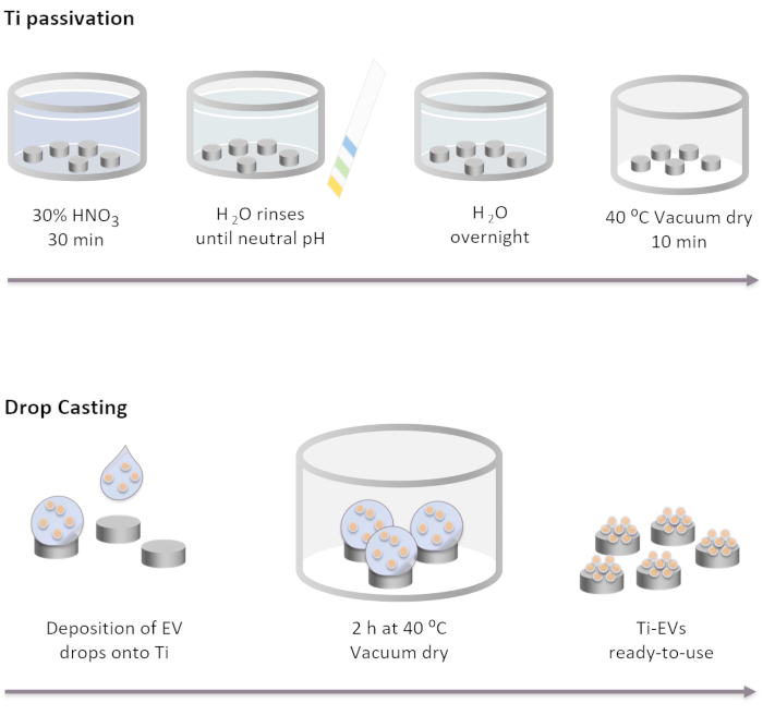 figure-protocol-2 figure-protocol-2