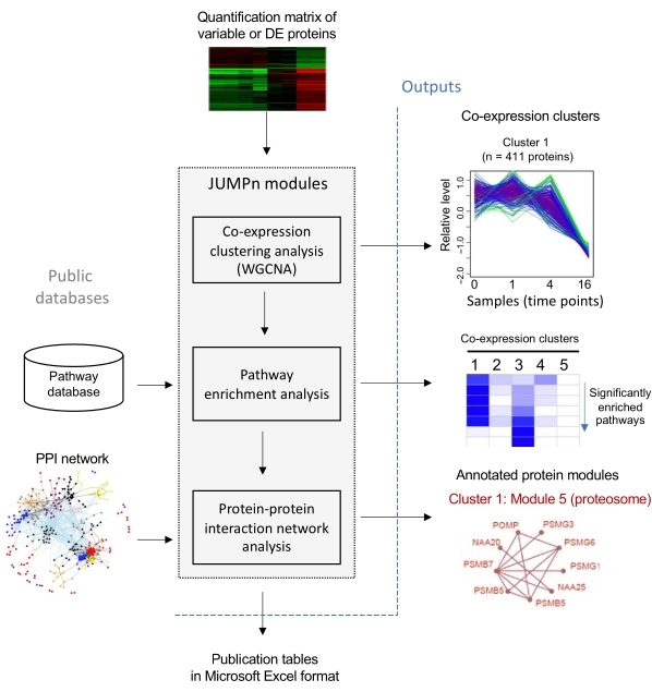 figure-results-1 Protein co-expression analysis diagram with WGCNA, pathway enrichment, and PPI network modules.