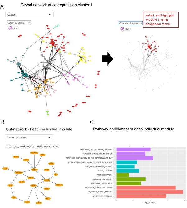 figure-results-6 Co-expression network analysis showing module selection, subnetwork, and pathway enrichment graph.