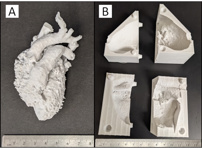 figure-protocol-4