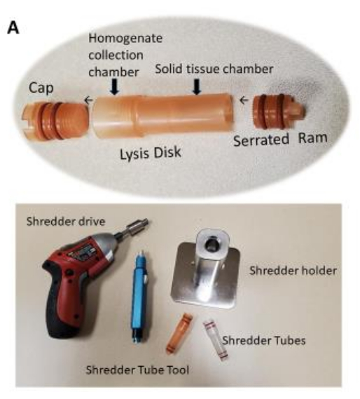 figure-protocol-1 Tissue homogenization setup with lysis disk, chamber, and shredder tools for sample processing.