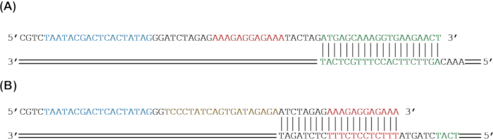 figure-results-2 figure-results-2