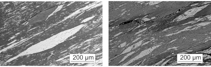 figure-results-3 Microstructure analysis, metallography images showing grain boundaries at 200 µm magnification.