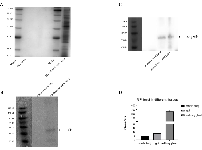 figure-results-2