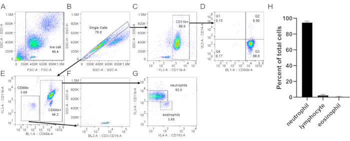 Flow cytometry diagram; leukocyte subsets gating process; neutrophils analysis; cell population chart.