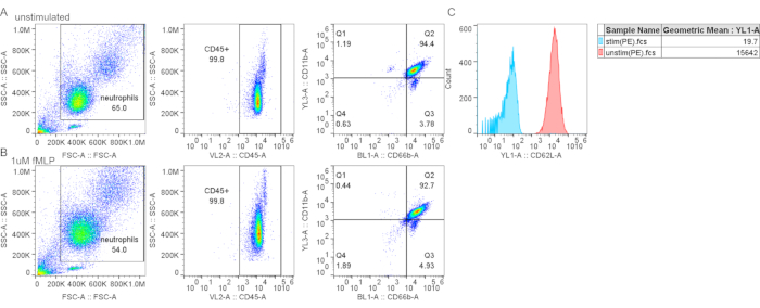 Flow cytometry analysis charts: unstimulated vs. fMLP neutrophil data in scatter and histogram plots.