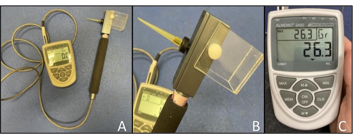 Assessment of Sensory Thresholds in Dogs Using Mechanical and Hot ...