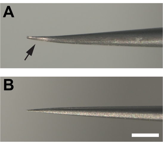 figure-protocol-1 Microscopic comparison of needles; A with defect, B pristine; material analysis; scale bar shown.