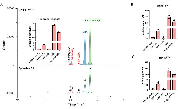 figure-results-2 Chromatography results, HPLC method, showing inositol phosphate separation and concentration data.