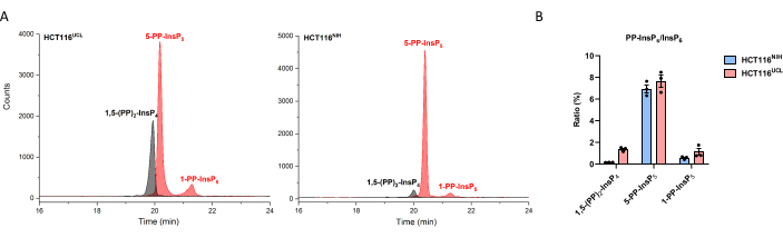 figure-results-3 Chromatography results; HPLC elution profiles, 5-PP-InsP5 analysis, HCT116 cells; bar chart ratio data.