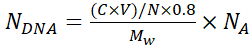 DNA quantification formula, N_DNA equation for molar concentration calculation in laboratory analysis.