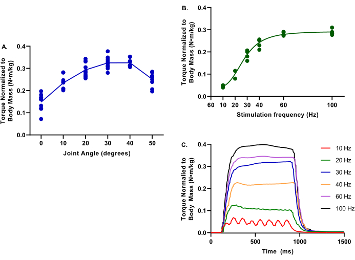 Joint angle, stimulation frequency, and torque response graphs; muscle mechanics analysis.