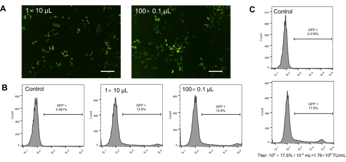 figure-results-1 Fluorescence microscopy and flow cytometry results for GFP expression analysis in cell samples.
