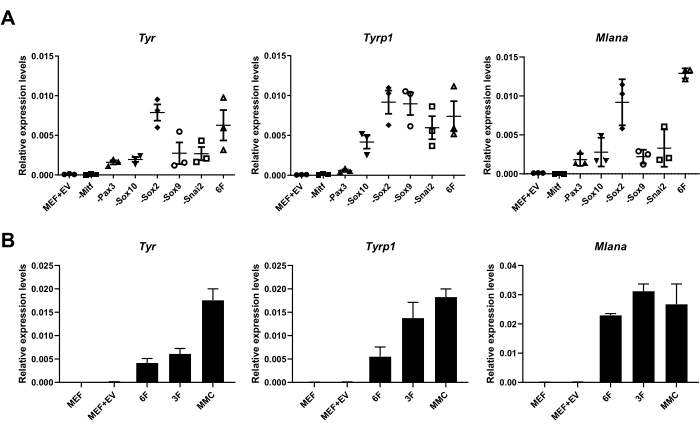 figure-results-3 Gene expression levels; relative expression graphs; Tyr, Tyrp1, Mlana; comparative bar chart.