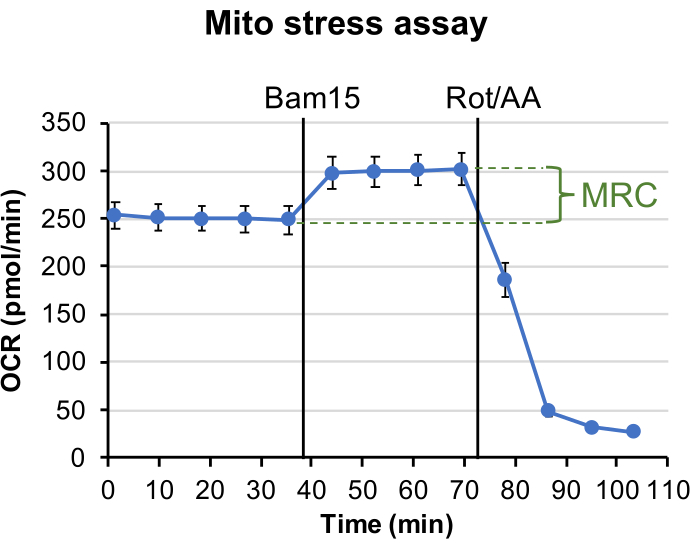 Mito stress assay chart; OCR vs. time; treatments Bam15, Rot/AA; mitochondrial respiration change.
