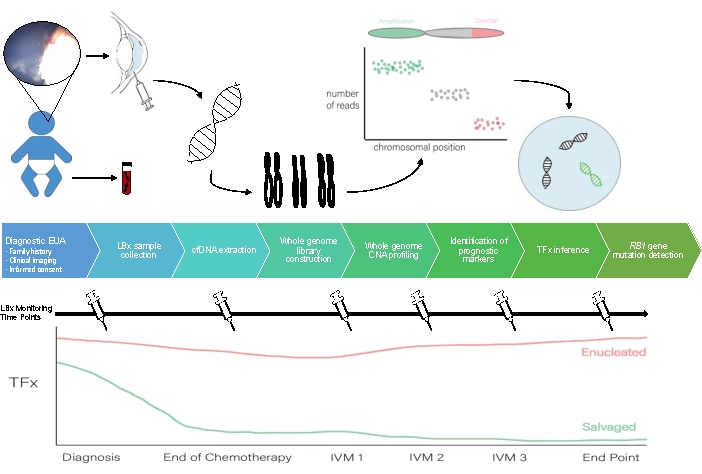 Retinoblastoma diagnosis and treatment monitoring flowchart, DNA sequencing, genomic profiling.