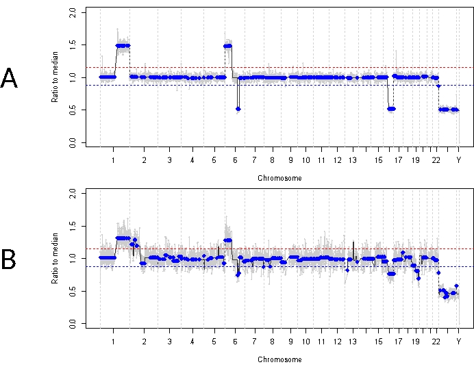 figure-results-3 Chromosome ratio to median analysis graph, comparative genomic hybridization results.