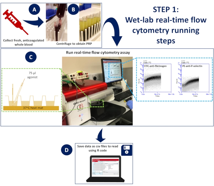 figure-results-1 Wet-lab real-time flow cytometry diagram: PRP prep, assay setup, data save for analysis.