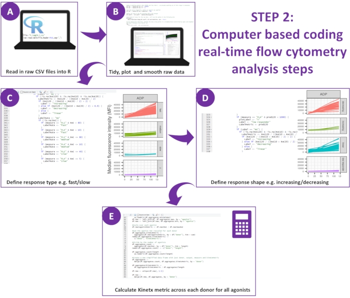 figure-results-2 Flow cytometry analysis steps in R; CSV import, data smoothing, response type/shape definition, Kinetx.