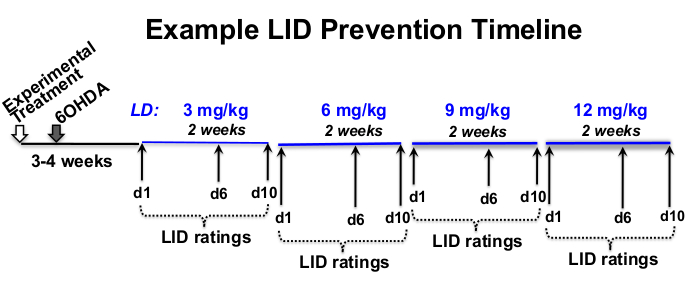 figure-protocol-1 LID prevention timeline diagram, dosing schedule with LID ratings, experimental treatment setup.