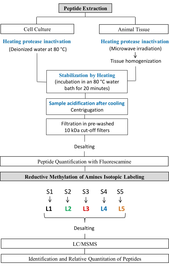 figure-protocol-1