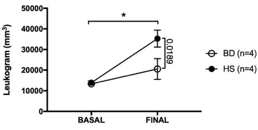 figure-results-4 白细胞计数结果图表;基础值与最终白细胞计数;显著差异;BD组和HS组n=4。