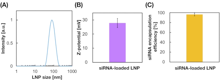 LNP characterization: size distribution, z-potential, siRNA encapsulation efficiency charts.