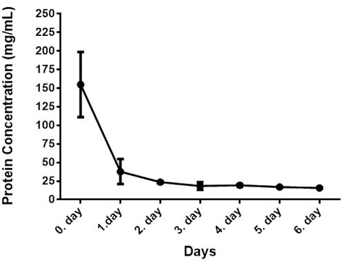 Protein degradation graph; protein concentration vs. days; experimental data analysis.